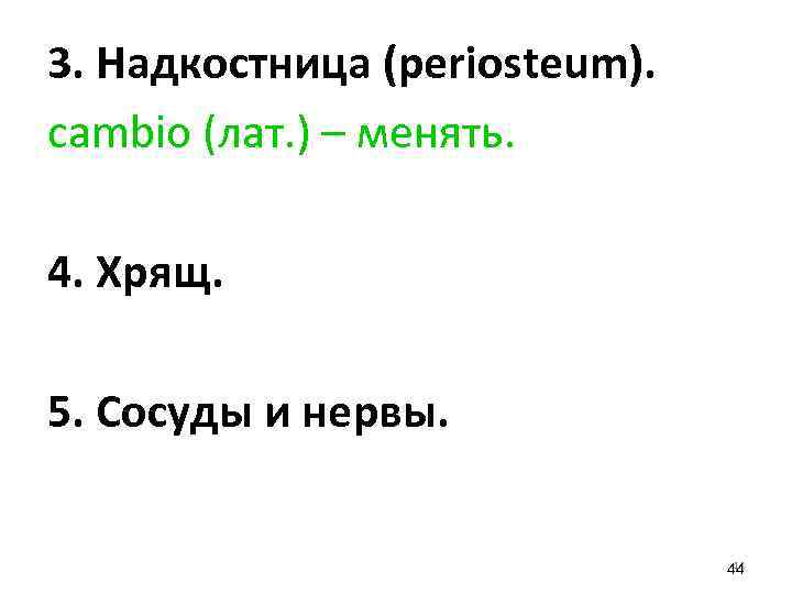 3. Надкостница (periosteum). cambio (лат. ) – менять. 4. Хрящ. 5. Сосуды и нервы.