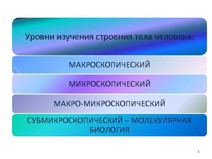 Уровни изучения строения тела человека: МАКРОСКОПИЧЕСКИЙ МИКРОСКОПИЧЕСКИЙ МАКРО-МИКРОСКОПИЧЕСКИЙ СУБМИКРОСКОПИЧЕСКИЙ – МОЛЕКУЛЯРНАЯ БИОЛОГИЯ 8 