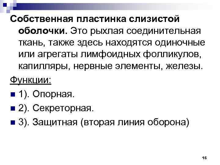 Собственная пластинка слизистой оболочки. Это рыхлая соединительная ткань, также здесь находятся одиночные или агрегаты