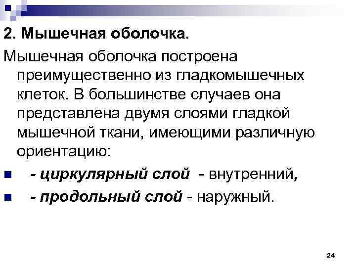 2. Мышечная оболочка построена преимущественно из гладкомышечных клеток. В большинстве случаев она представлена двумя