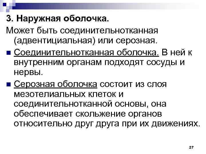 3. Наружная оболочка. Может быть соединительнотканная (адвентициальная) или серозная. n Соединительнотканная оболочка. В ней