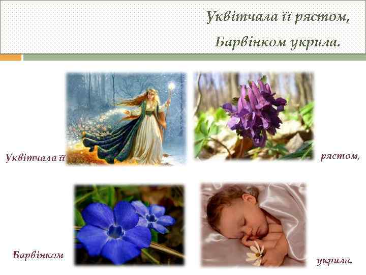 Уквітчала її рястом, Барвінком укрила. Уквітчала її Барвінком рястом, укрила. 