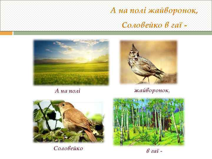 А на полі жайворонок, Соловейко в гаї - А на полі Соловейко жайворонок, в