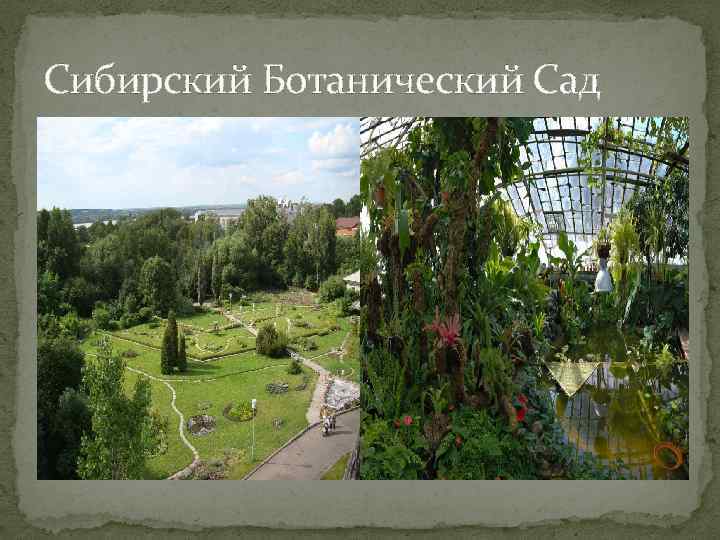 Ботанический сад новосибирск карта