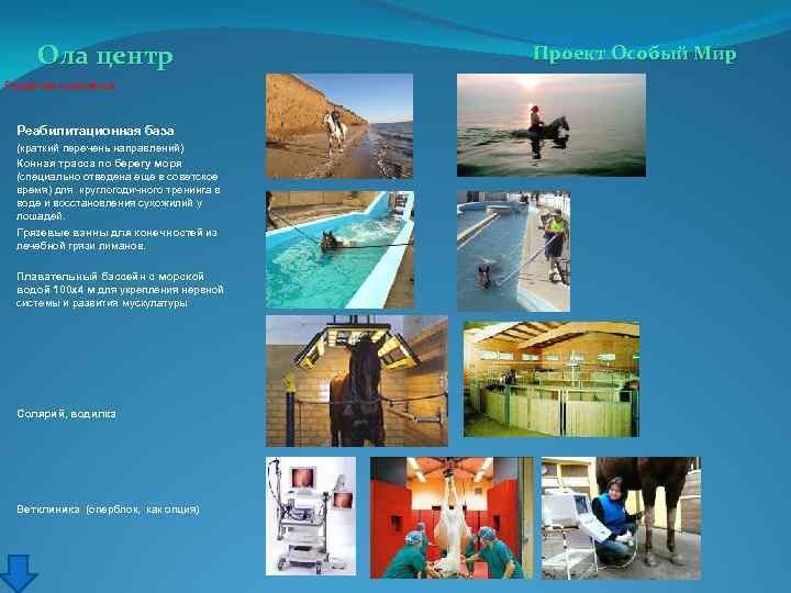 Ола центр Развитие комплекса Реабилитационная база (краткий перечень направлений) Конная трасса по берегу моря