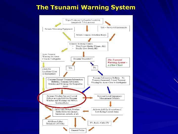 The Tsunami Warning System 