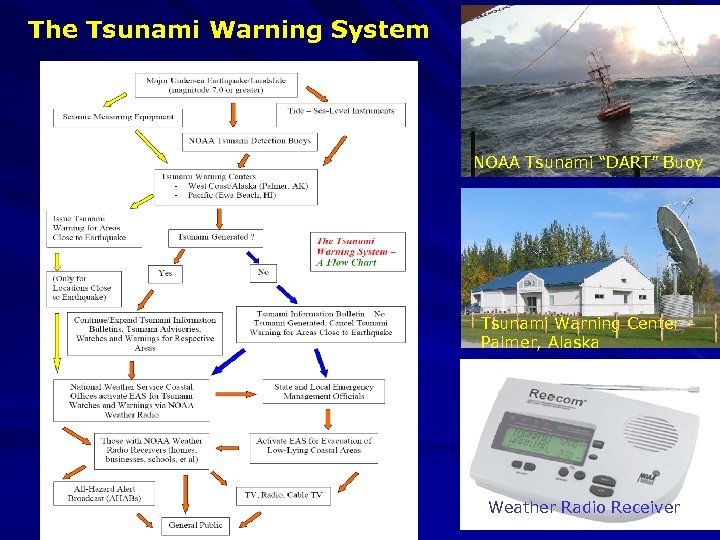 The Tsunami Warning System NOAA Tsunami “DART” Buoy Tsunami Warning Center – Palmer, Alaska