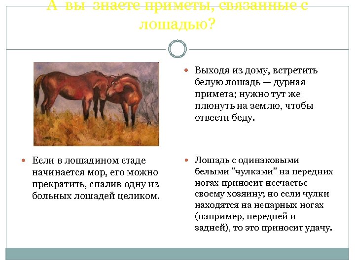 А вы знаете приметы, связанные с лошадью? Выходя из дому, встретить белую лошадь —