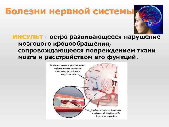 Нервная система рефлекс инстинкт органы чувств регуляция деятельности организма презентация 7 класс