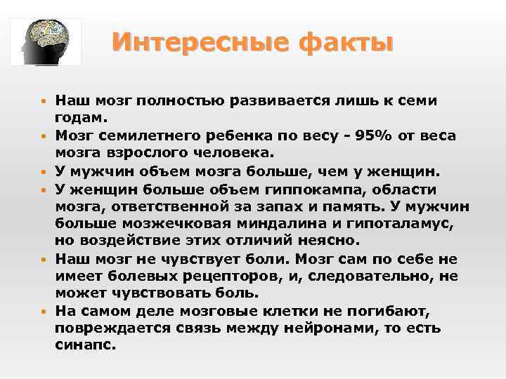 Интересные факты Наш мозг полностью развивается лишь к семи годам. Мозг семилетнего ребенка по