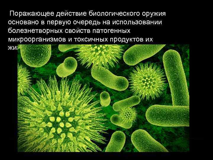 Поражающее действие биологического оружия основано в первую очередь на использовании болезнетворных свойств патогенных микроорганизмов