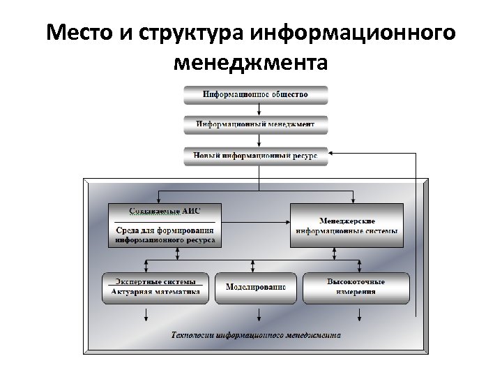 Место и структура информационного менеджмента 