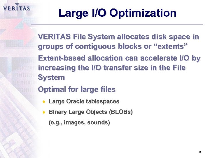 Large I/O Optimization VERITAS File System allocates disk space in groups of contiguous blocks