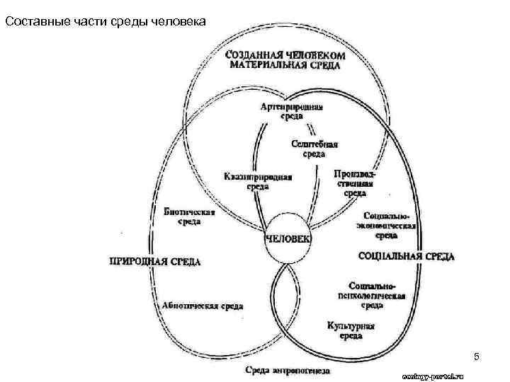 Составные части среды человека 5 
