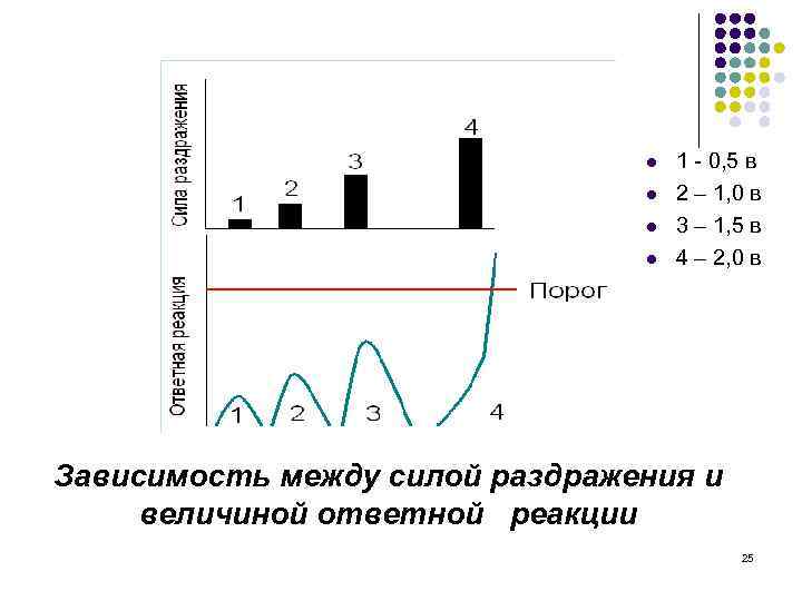l l 1 - 0, 5 в 2 – 1, 0 в 3 –
