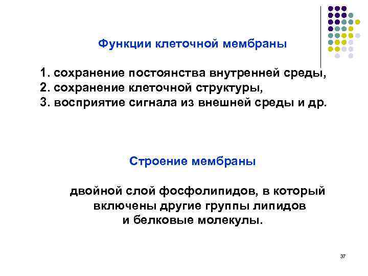Функции клеточной мембраны 1. сохранение постоянства внутренней среды, 2. сохранение клеточной структуры, 3. восприятие