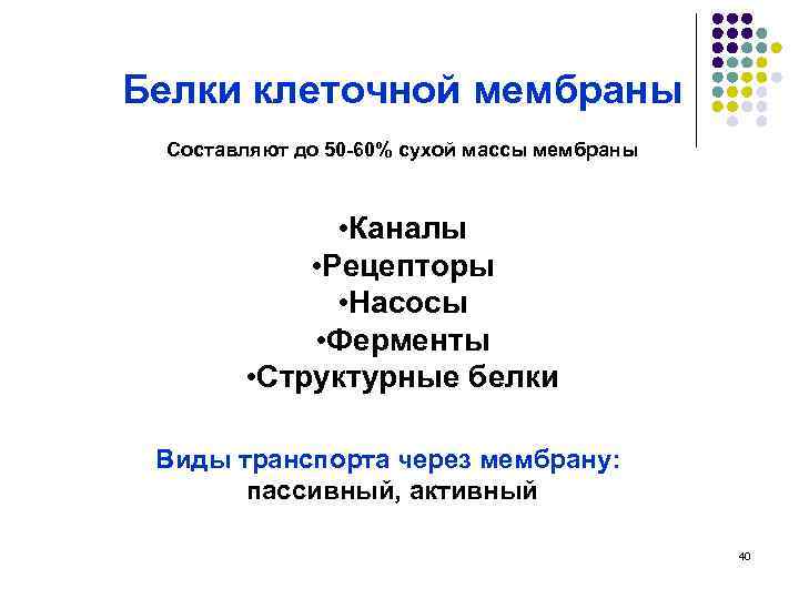 Белки клеточной мембраны Составляют до 50 -60% сухой массы мембраны • Каналы • Рецепторы