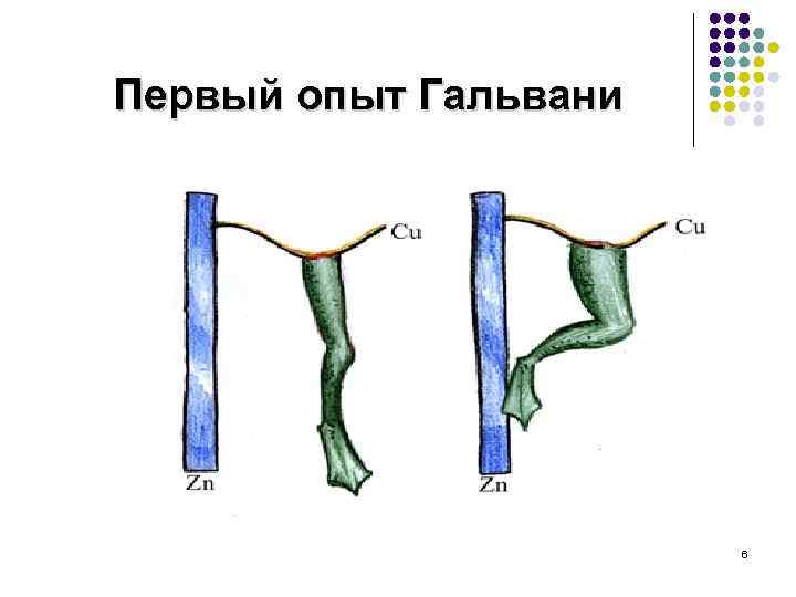 Первый опыт Гальвани 6 