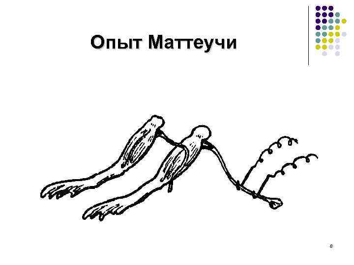 Опыт Маттеучи Опыт 8 