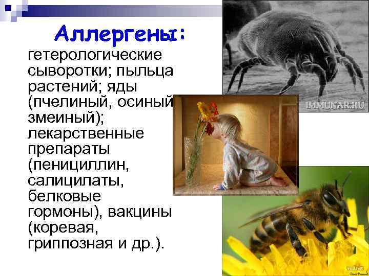 Аллергены: гетерологические сыворотки; пыльца растений; яды (пчелиный, осиный, змеиный); лекарственные препараты (пенициллин, салицилаты, белковые