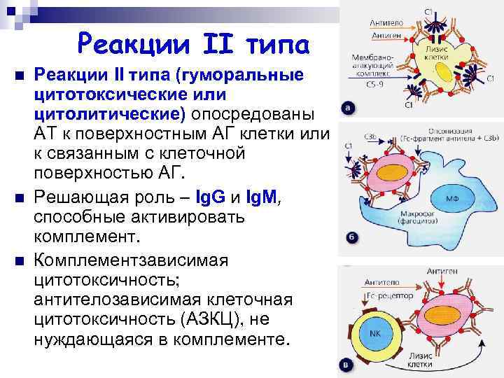 Типы аллергических реакций таблица