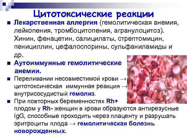 Цитотоксические реакции n n Лекарственная аллергия (гемолитическая анемия, лейкопения, тромбоцитопения, агранулоцитоз). Хинин, фенацетин, салицилаты,