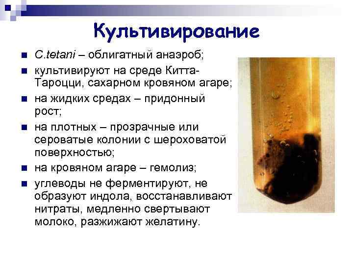 Культивирование n n n C. tetani – облигатный анаэроб; культивируют на среде Китта. Тароцци,