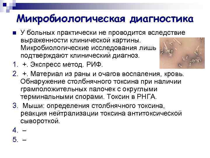 Микробиологическая диагностика У больных практически не проводится вследствие выраженности клинической картины. Микробиологические исследования лишь