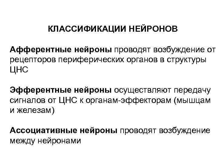 КЛАССИФИКАЦИИ НЕЙРОНОВ Афферентные нейроны проводят возбуждение от рецепторов периферических органов в структуры ЦНС Эфферентные