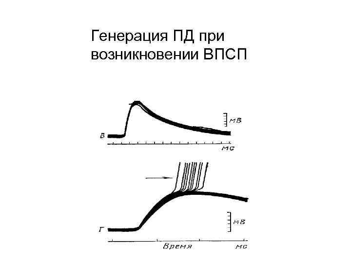 Генерация ПД при возникновении ВПСП 