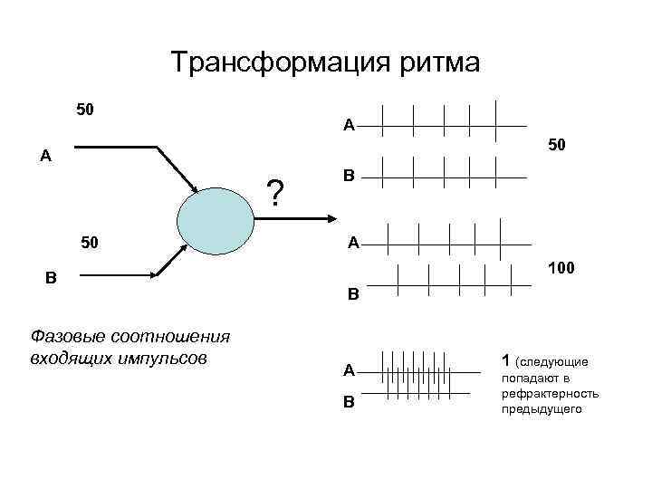 Трансформация ритма 50 А ? 50 В Фазовые соотношения входящих импульсов В А 100