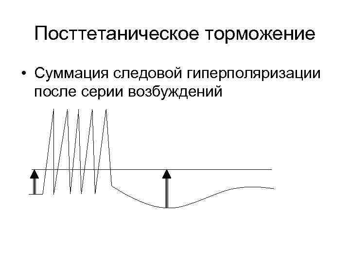 Посттетаническое торможение • Суммация следовой гиперполяризации после серии возбуждений 