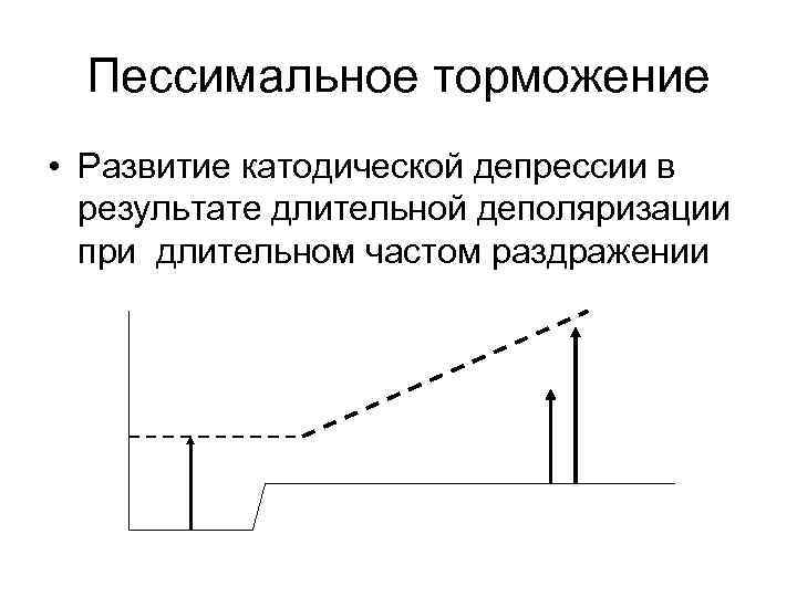 Пессимальное торможение • Развитие катодической депрессии в результате длительной деполяризации при длительном частом раздражении