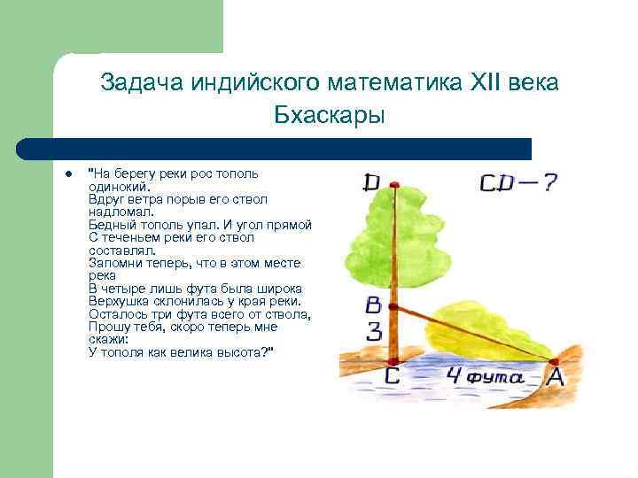 Задача индийского математика XII века Бхаскары l "На берегу реки рос тополь одинокий. Вдруг