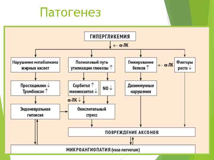 Патогенез 