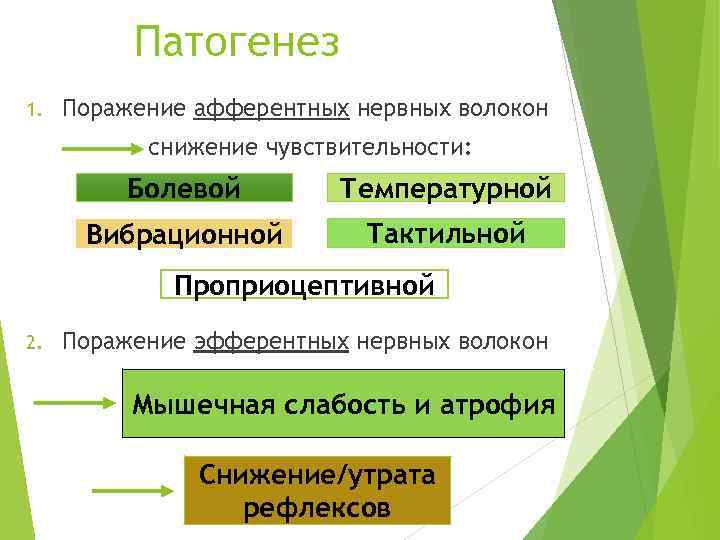 Патогенез 1. Поражение афферентных нервных волокон снижение чувствительности: Болевой Температурной Вибрационной Тактильной Проприоцептивной 2.