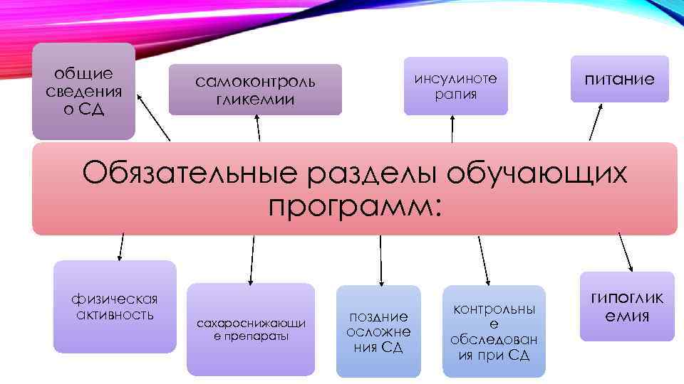 общие сведения о СД инсулиноте рапия самоконтроль гликемии питание Обязательные разделы обучающих программ: физическая