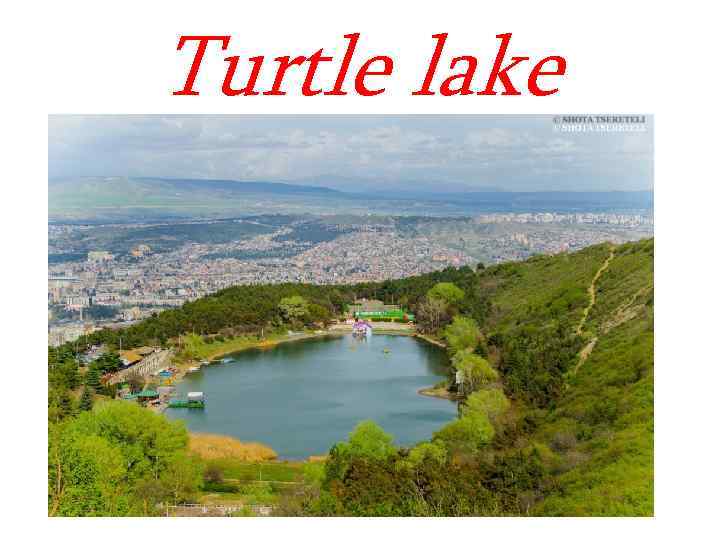 Turtle lake 