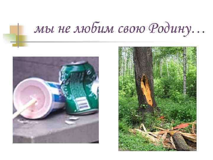 мы не любим свою Родину… 