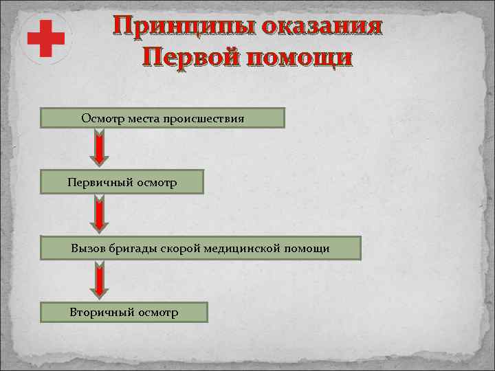 Принципы оказания Первой помощи Осмотр места происшествия Первичный осмотр Вызов бригады скорой медицинской помощи
