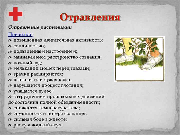 Отравления Отравление растениями Признаки: повышенная двигательная активность; сонливостью; подавленным настроением; маниакальное расстройство сознания; кожный