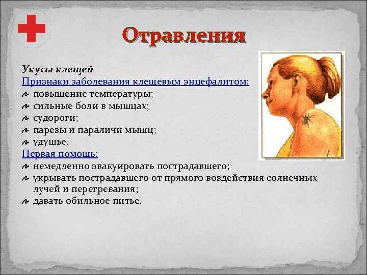 Отравления Укусы клещей Признаки заболевания клещевым энцефалитом: повышение температуры; сильные боли в мышцах; судороги;