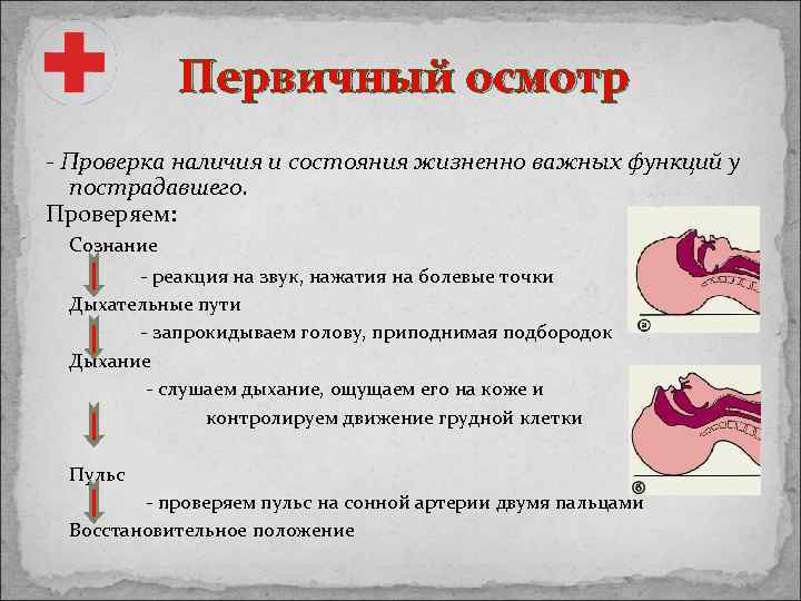 Первичный осмотр - Проверка наличия и состояния жизненно важных функций у пострадавшего. Проверяем: Сознание