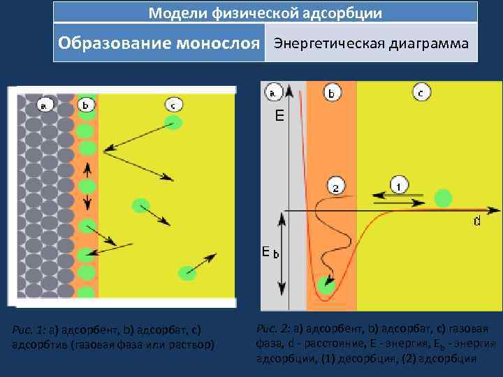 Модели физической адсорбции Образование монослоя Энергетическая диаграмма Рис. 1: a) адсорбент, b) адсорбат, c)
