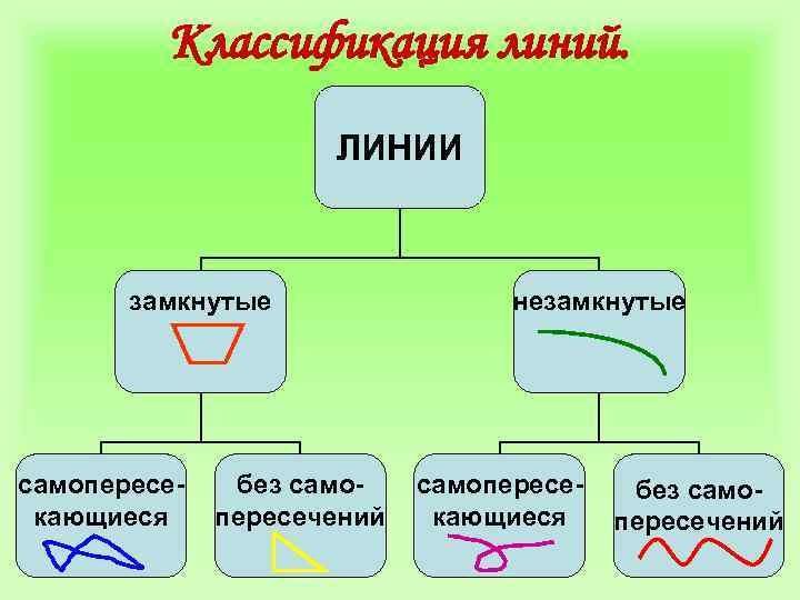 Классификация линий. ЛИНИИ замкнутые самопересекающиеся без самопересечений незамкнутые самопересекающиеся без самопересечений 