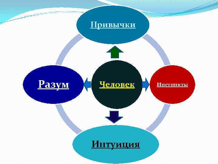 Привычки Разум Человек Интуиция Инстинкты 