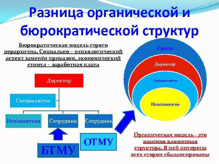 Разница органической и бюрократической структур Бюрократическая модель строго иерархична. Социально – психологический аспект заменён