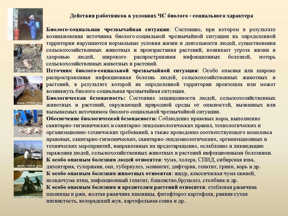 Действия работников в условиях ЧС биолого - социального характера Биолого-социальная чрезвычайная ситуация: Состояние, при