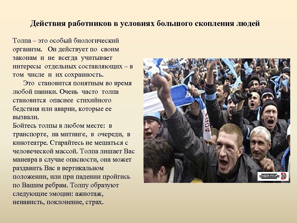 Действия работников в условиях большого скопления людей Толпа – это особый биологический организм. Он