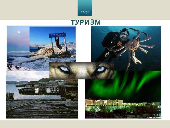 ТУРИЗМ 